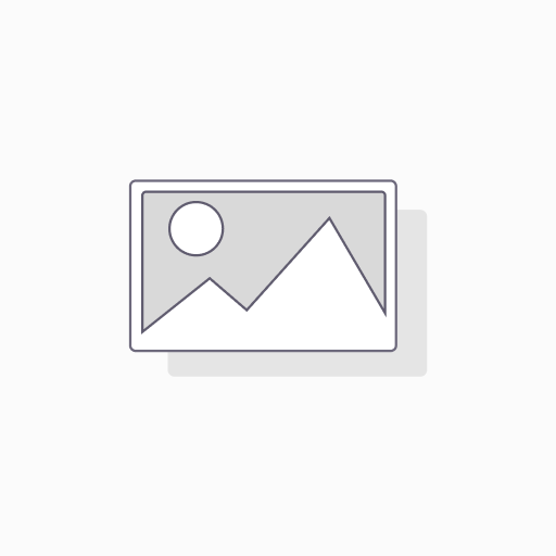 [5-006-835-01] FPC 2438 PROTECT SHEET(88100)